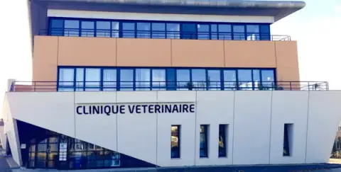 Clinique Vétérinaire Coubertin