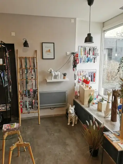 Éclat de poils toilettage