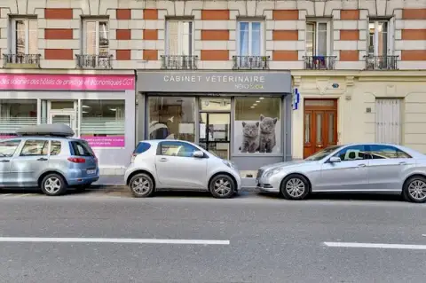 Neko&Co - Vétérinaire Clichy et Ouest de Paris