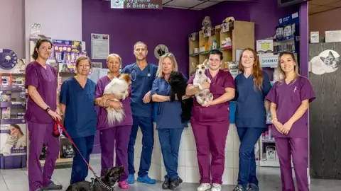 Clinique Vétérinaire Pérols des Etangs
