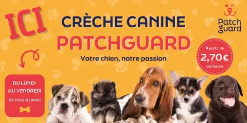 Crèche canine PatchGuard® à Angers