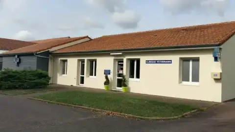 Clinique Vétérinaire des Mûriers
