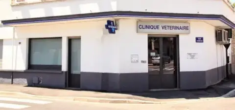 Clinique vétérinaire l'Avenir