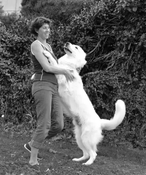 Harmoniechien.com - Emilie Vernet Éducateur comportementaliste canin Dijon