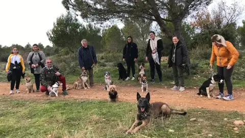 Les Amis de Juliette