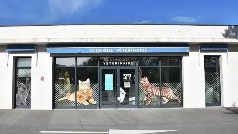 Riviera Vet