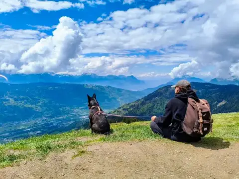 Thomas Educ' - Educateur canin et félin en Alsace