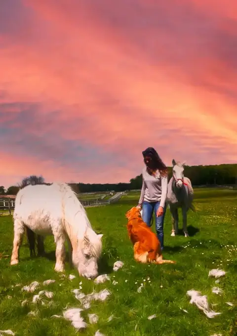 Aurore Animaux Services