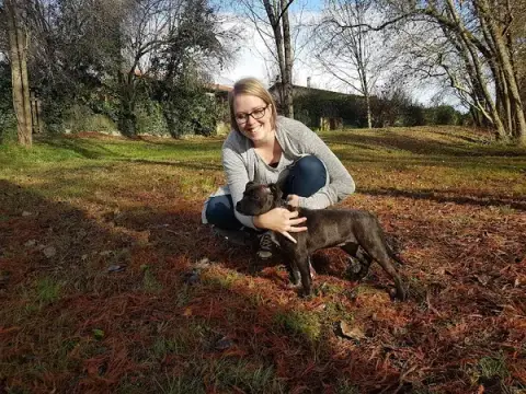 Nini et Ollie - Education canine et comportementaliste