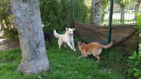 4 Pat' Confort et Santé