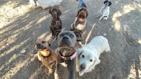 Pupuce Family - Pension canine