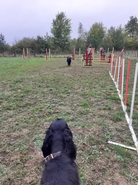 Cercle Canin Montrichardais