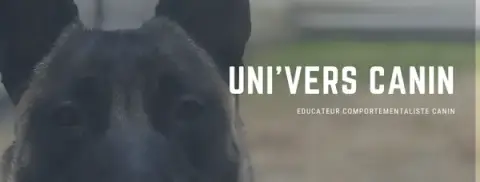 Uni'vers Canin, Éducateur Comportementaliste Canin - Kiên Comte