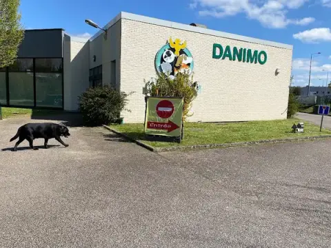 Danimo