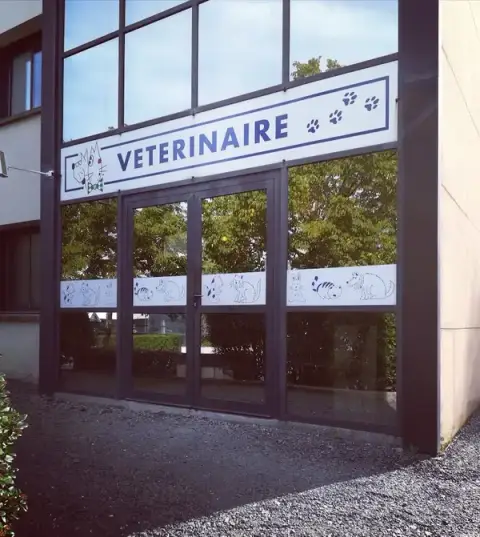 Veterinary Clinic (Dr Delouche Dr. Herblot)