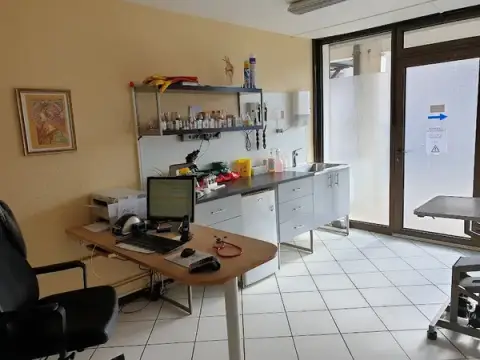 Veterinary Clinic Snow