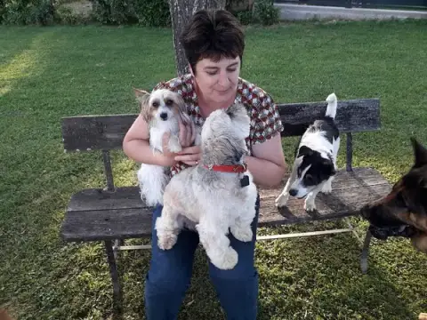 canin heureux "Chris' pension familiale canine"