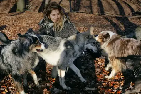 Victorine Reinewald (Canis Corpus) - Comportementaliste Canin