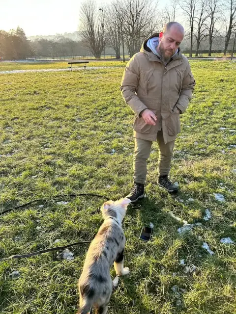 La Voie du Chien - Educateur canin comportementaliste