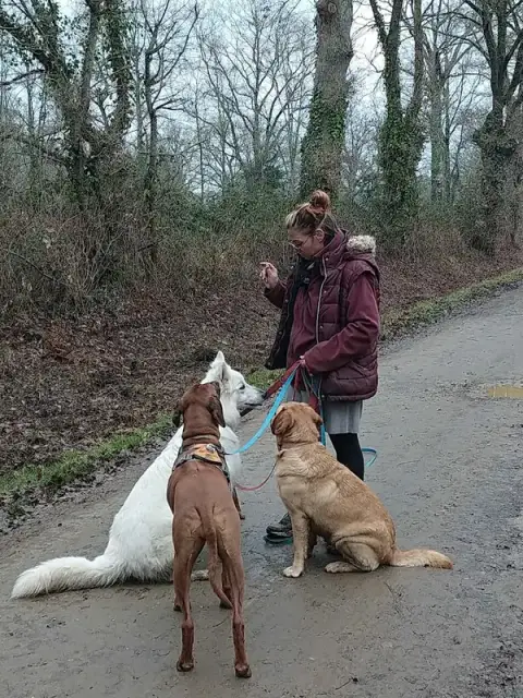 Pension Canine - Popo la bonne patte