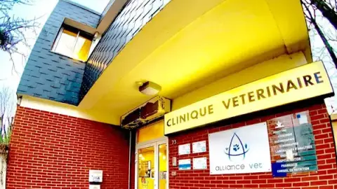 VETERINARY CLINIC ALLIANCEVET
