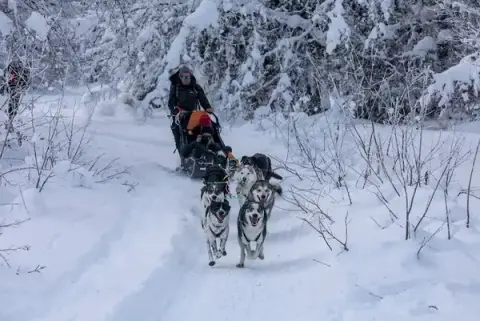 La grange des huskies / base éco-canine