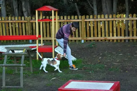 Education Canine et Agility du Roussillon