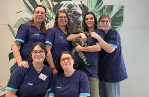 Clinique Vétérinaire Univet Aliénor d'Aquitaine