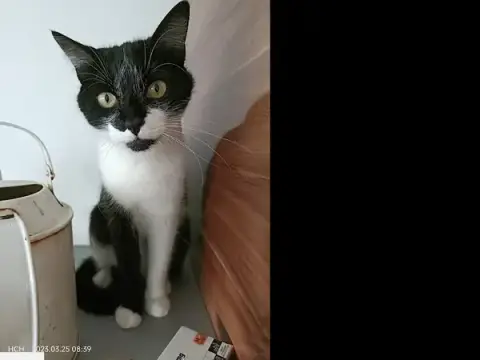 Home Chat Heureux