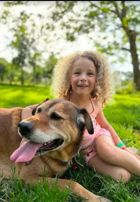 Pension pour chien du Centre canin des Vallons de la Sée