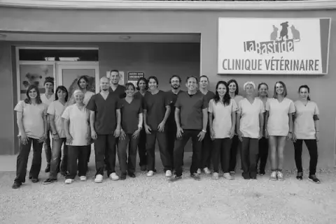 Clinic Bastide
