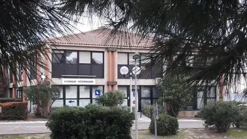 Clinique Vétérinaire du Soleil