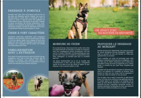 À Domicile Chien tranquille