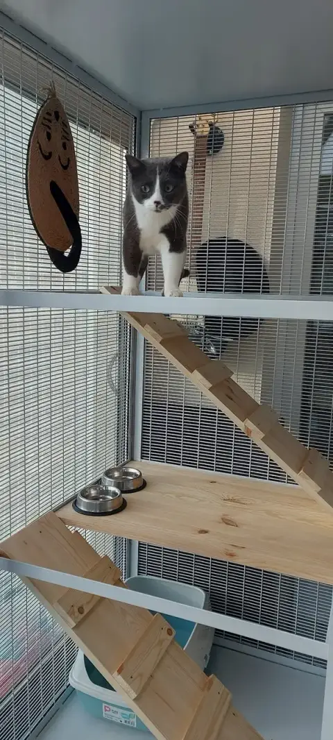 Chat L'Heureuse Auberge à Fiennes