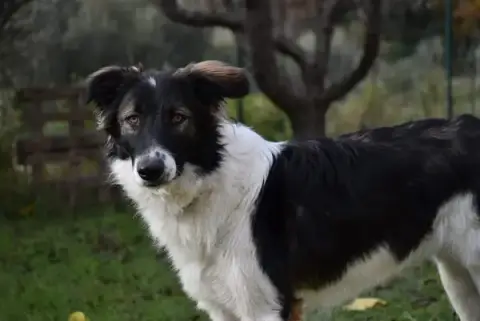 Edukynos