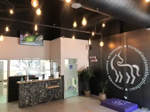 Lingostière Veterinary Clinic