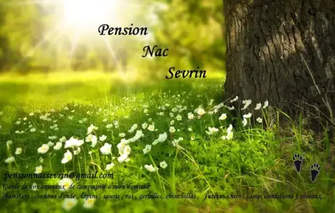 Pension nac sevrin
