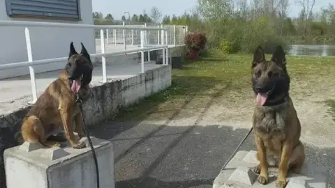 Antho Educanine
