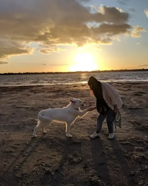Le temps du chien - Education canine et comportement