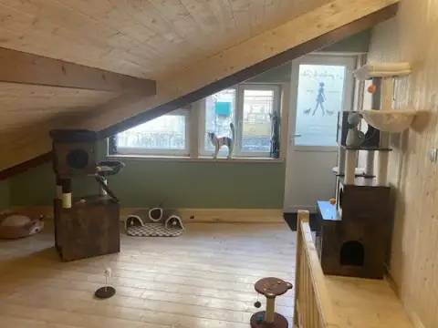 La garderie de Julie, pension féline, garderie pour chat, pension pour chat, pet-sitter