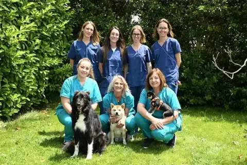 Veterinary Clinic Maremne