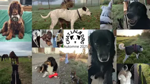 Chatlaladog