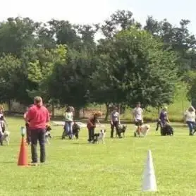 Cani-Landes Élevage Pension canine Education canine Dressage canin