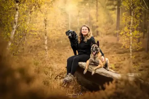 Ludog