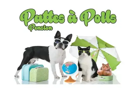 Pattes à poils