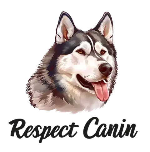 Respect Canin | Educateur canin Haute Savoie
