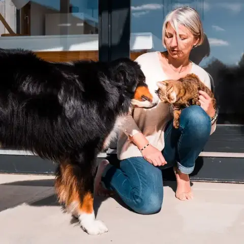 Comportementaliste Canin Felin 87 Education Canine Nathalie Autelin