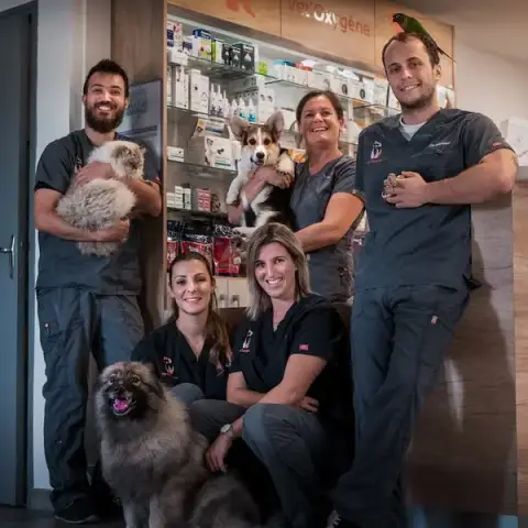 Clinique Vétérinaire Vet’Oxygène