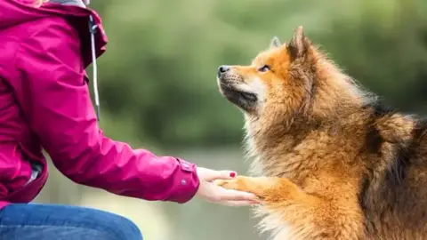Os'Moz Education Canine