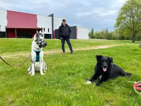mickael bourigault éducation canine